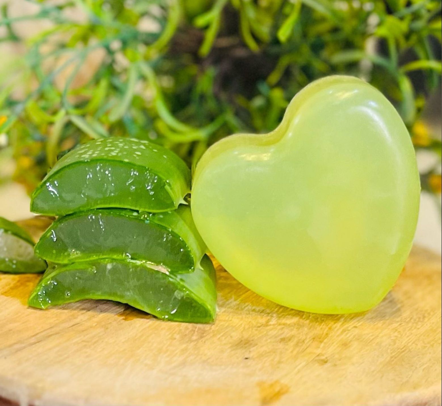 Mosquito Repellent Aloe Vera Soap with Lemongrass and Tea Tree Essential Oil